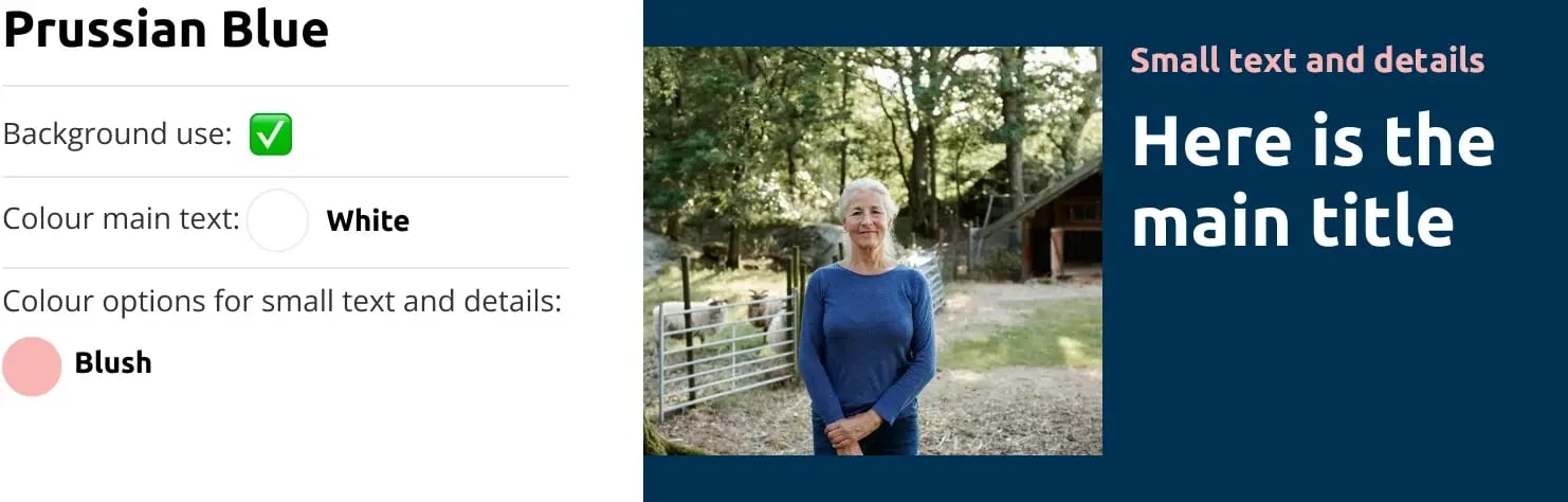 ivQicncDPRLB4dCRP2Gp